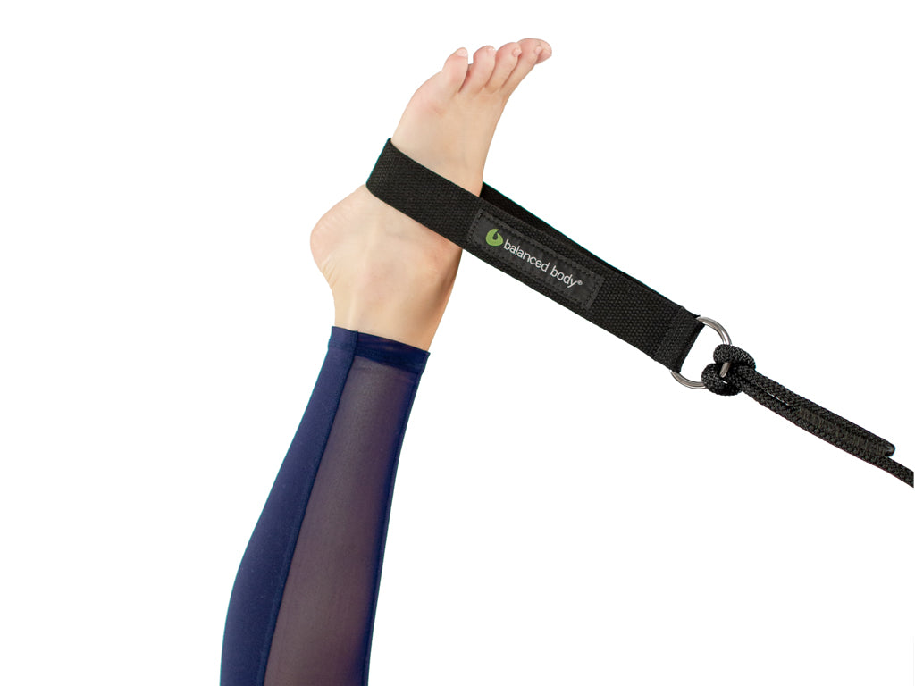 Single D-Ring Loops, Paar