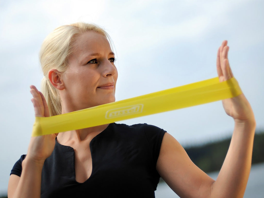 SISSEL Exercise Loop