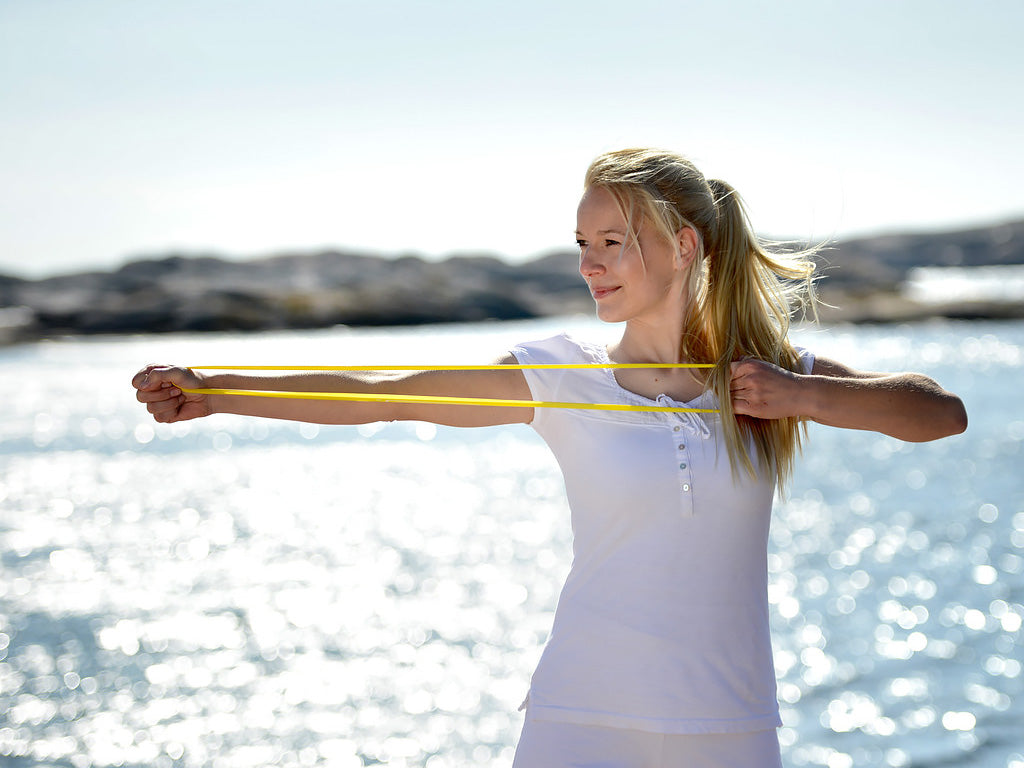 SISSEL Exercise Loop