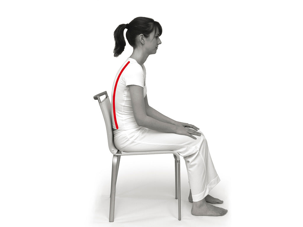 Bezug-SISSEL-Sit-Standard