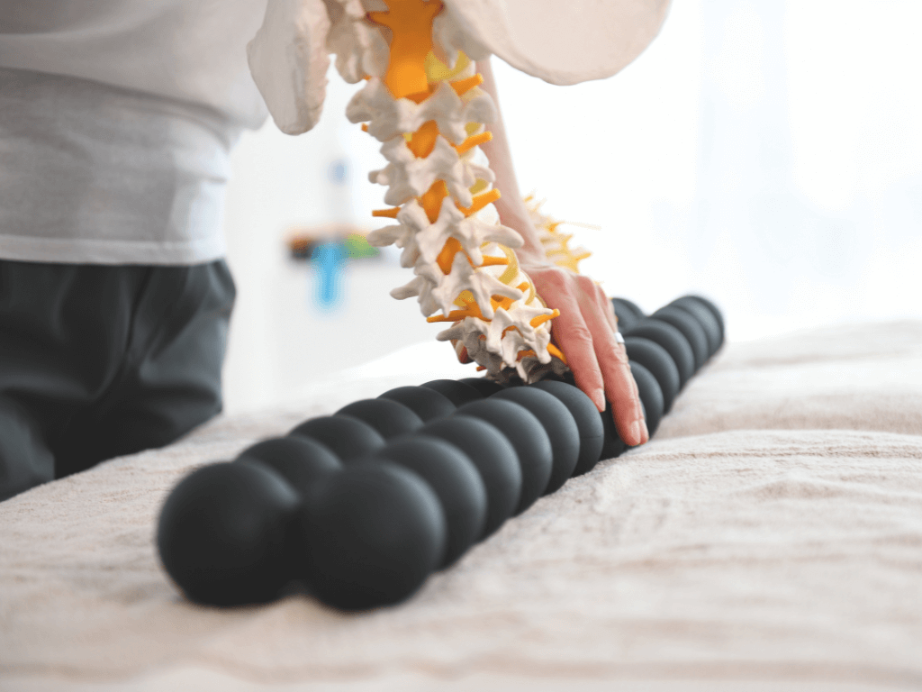 SPINEFITTER Wirbelsäule