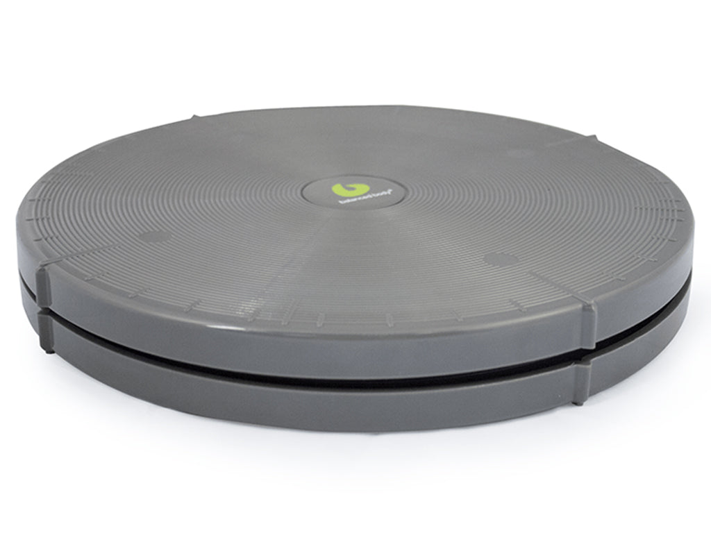 Rotator Disc ohne Widerstand