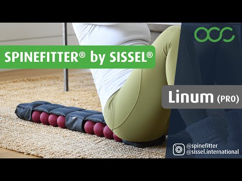 SISSEL Spinefitter Linum Pro