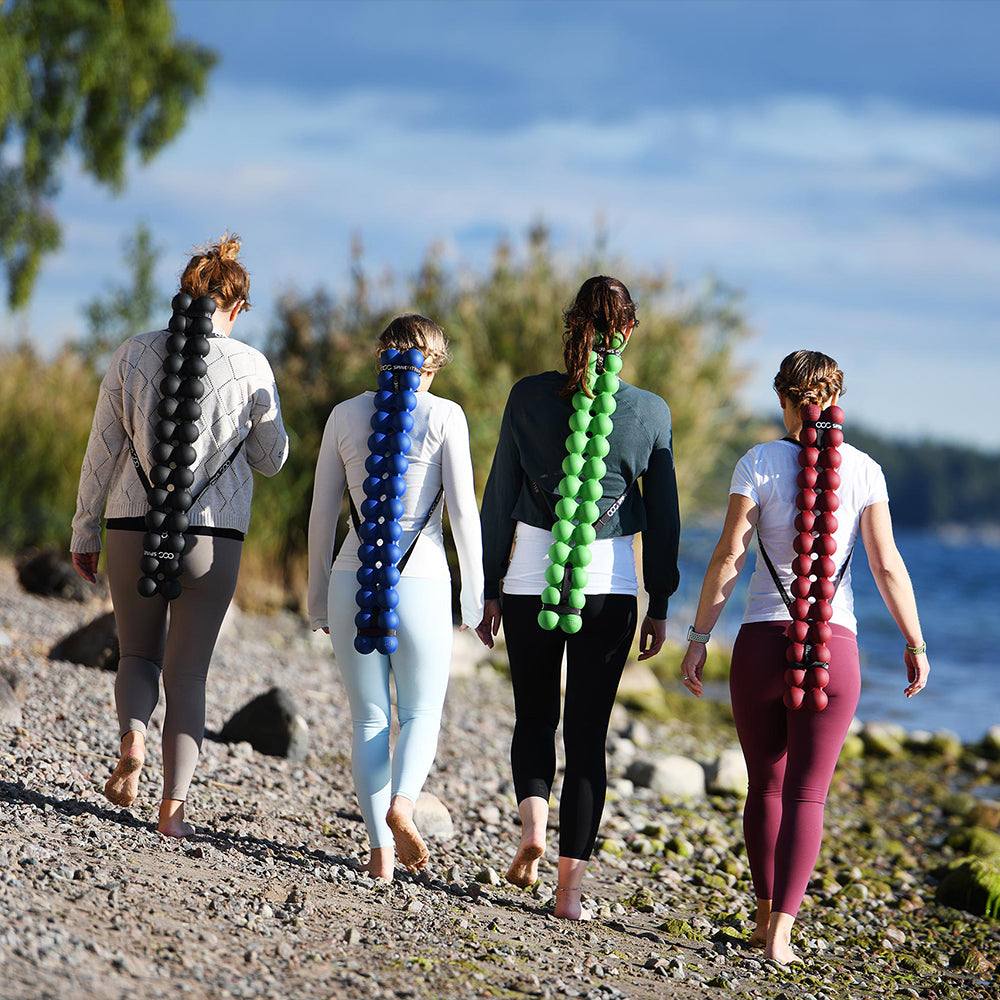 SPINEFITTER Schweden