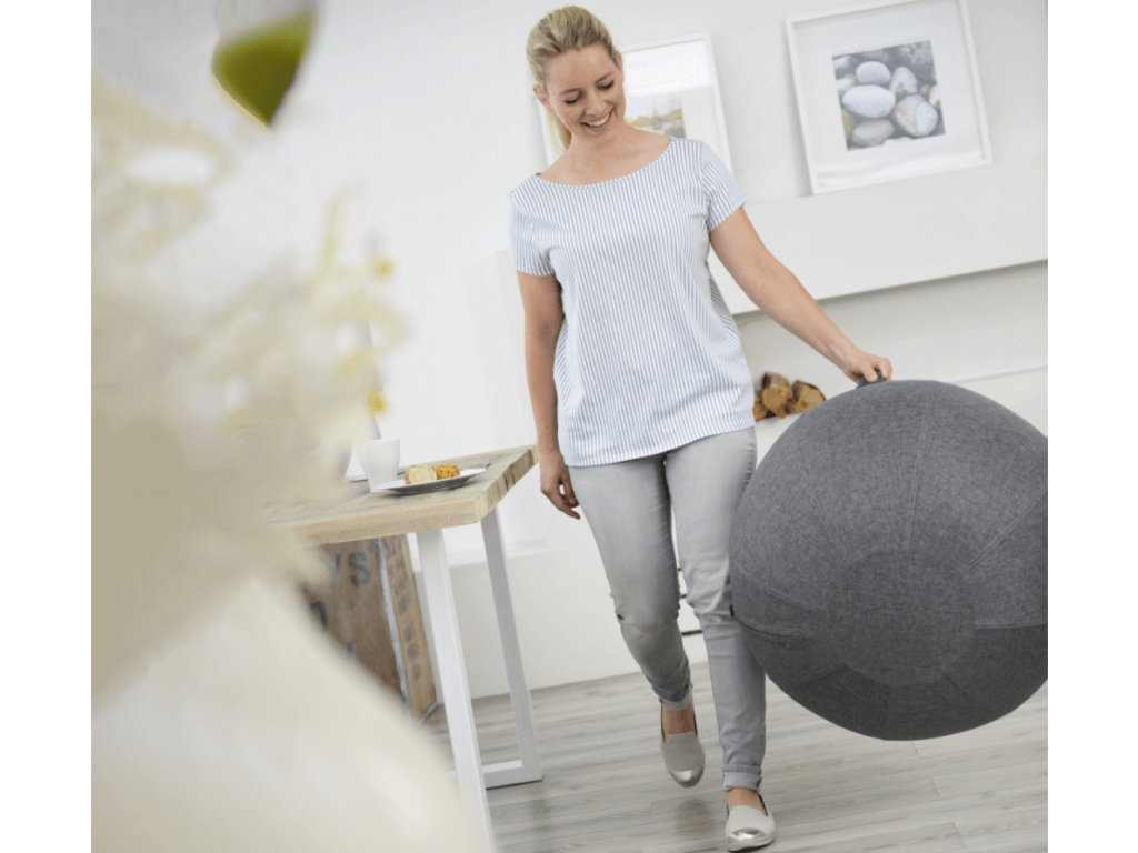 SISSEL Gym Ball Cover grau