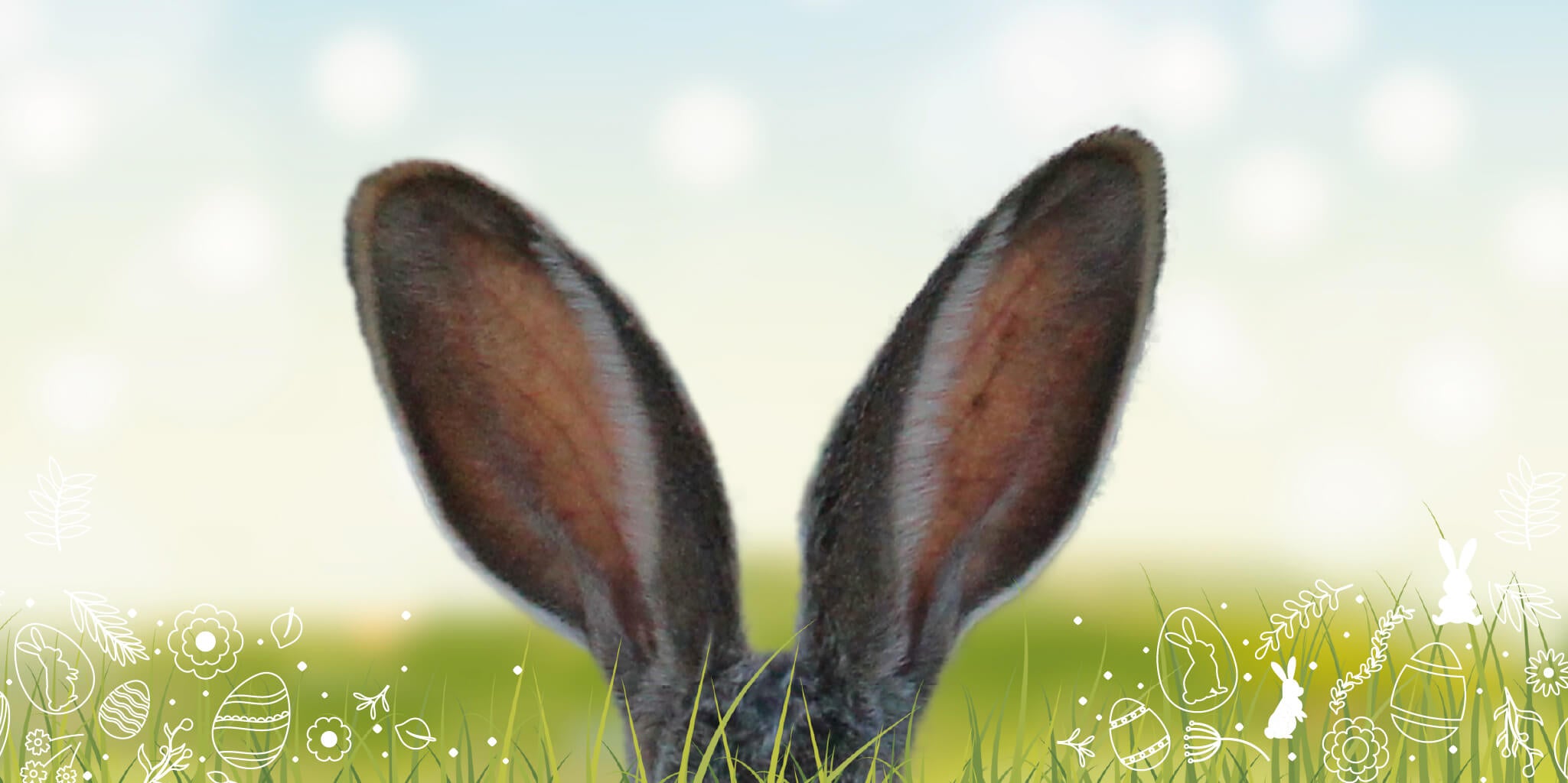 Ostern Hasenohren Desktop