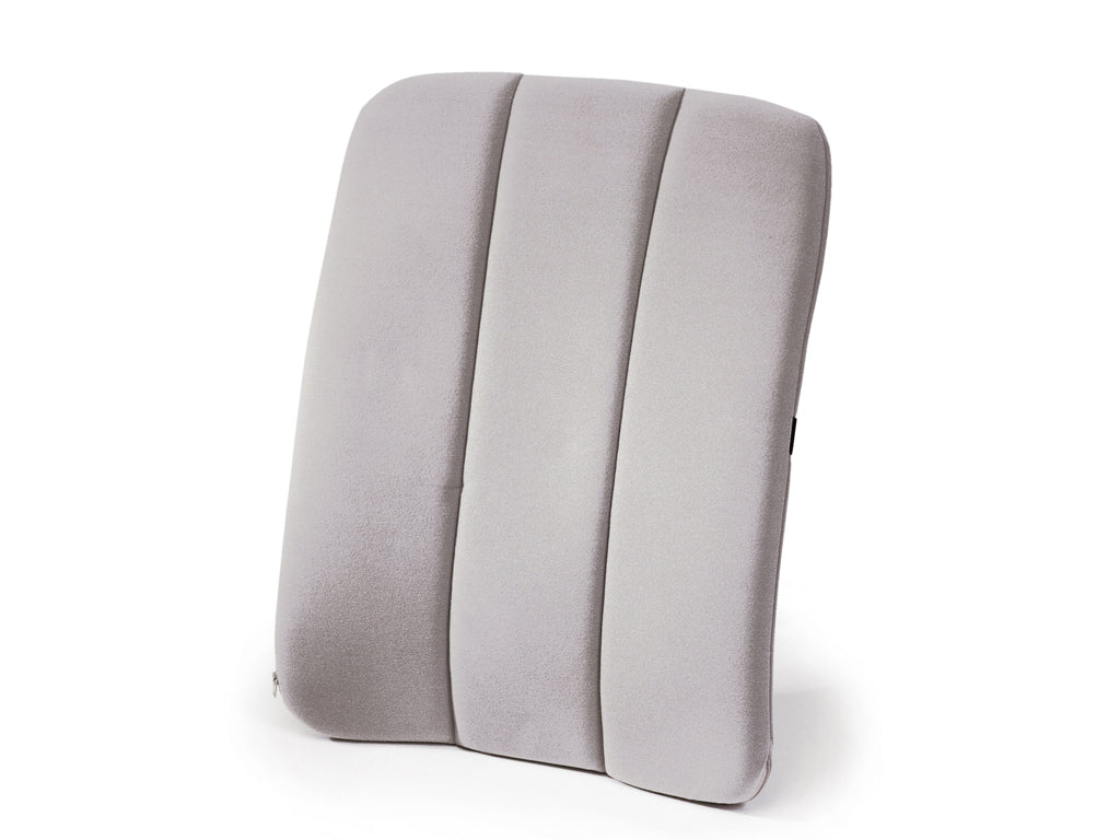 SISSEL Dorsaback-Car