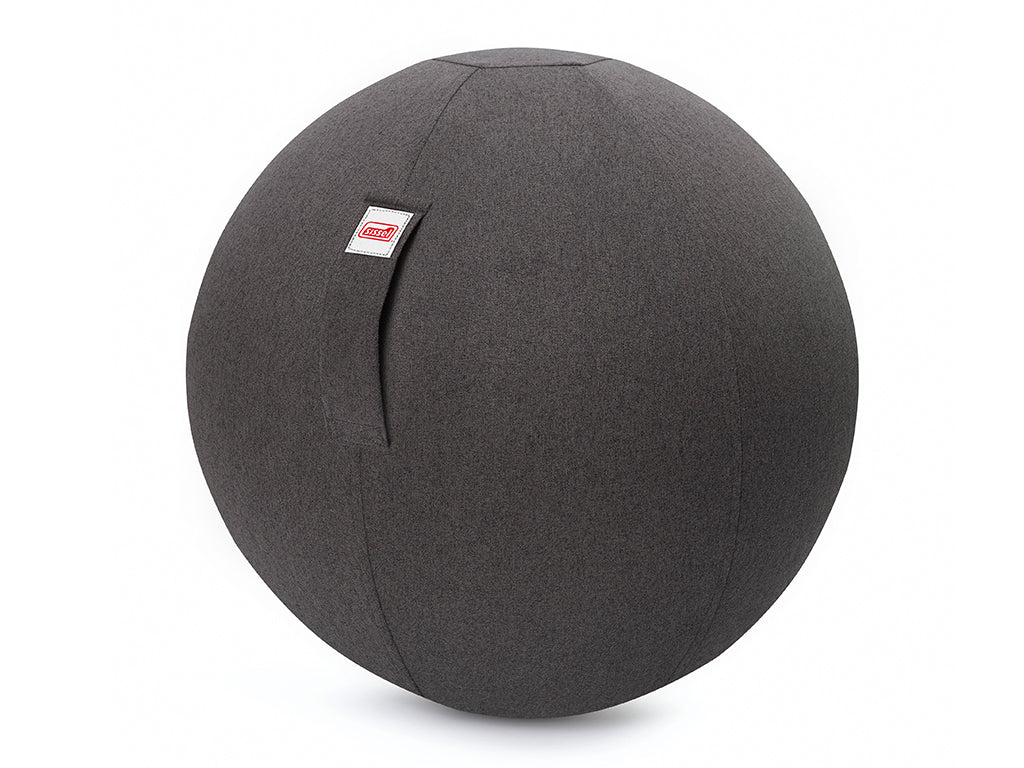 SISSEL Gym Ball Cover grau